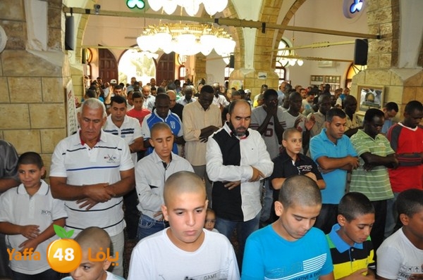 3eed 7san bek 808 (22).JPG